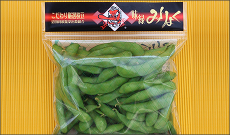 �H�މ摜