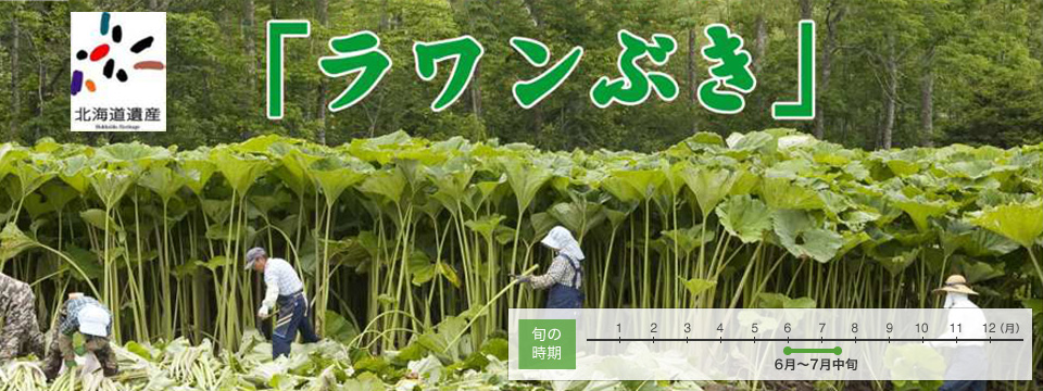 ���C���摜