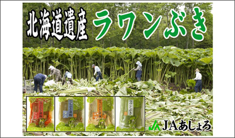 �H�މ摜