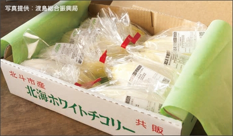 �H�މ摜