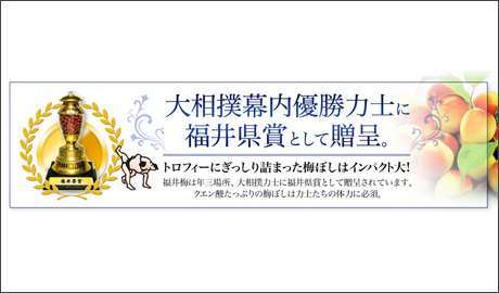 �H�މ摜