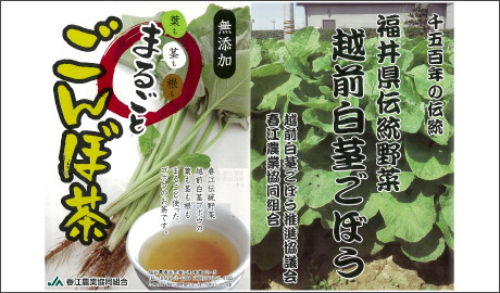�H�މ摜
