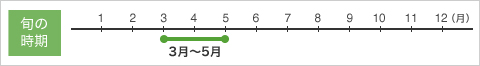 �{�̎����摜