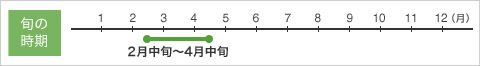 �{�̎����摜
