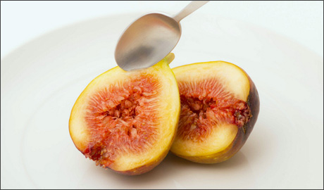 食材画像
