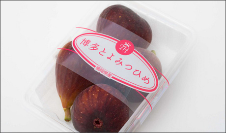 食材画像