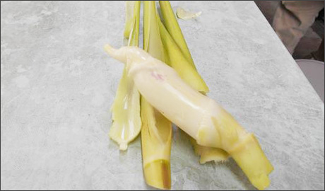 食材画像