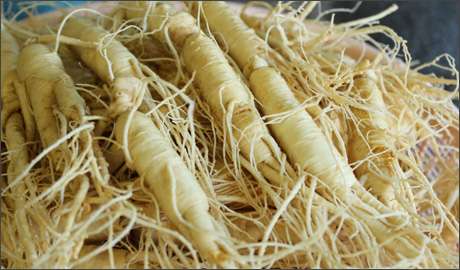 食材画像