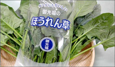 �H�މ摜
