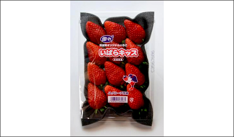 �H�މ摜