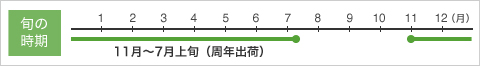 �{�̎����摜