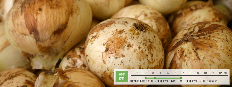 ���C���摜