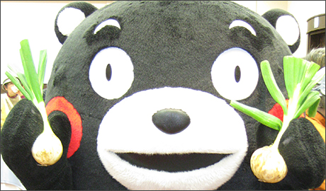 �H�މ摜