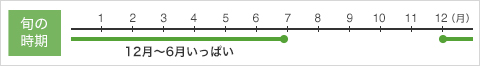 �{�̎����摜