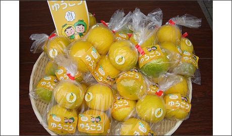 食材画像