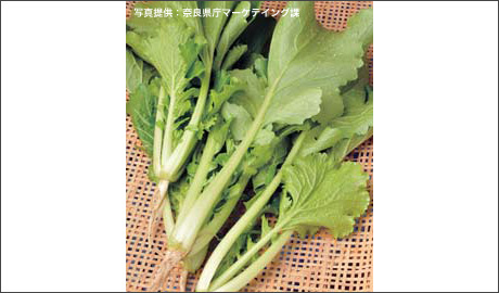 �H�މ摜
