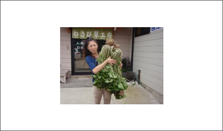 �H�މ摜