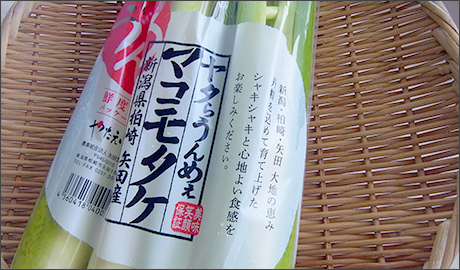 �H�މ摜