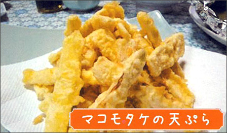 �H�މ摜