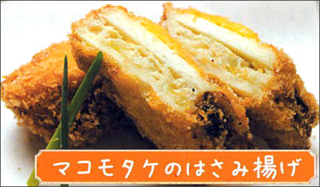 �H�މ摜