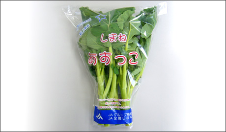 �H�މ摜