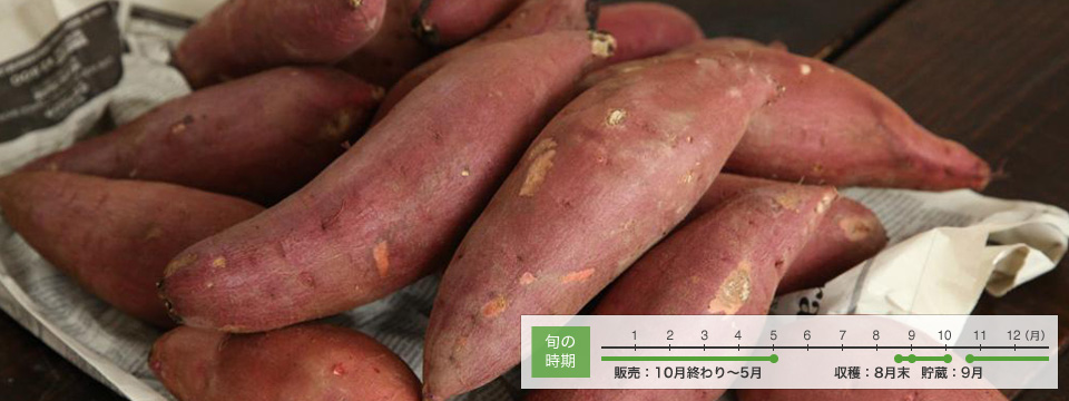 ���C���摜