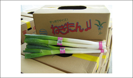 �H�މ摜