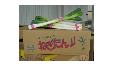 �H�މ摜